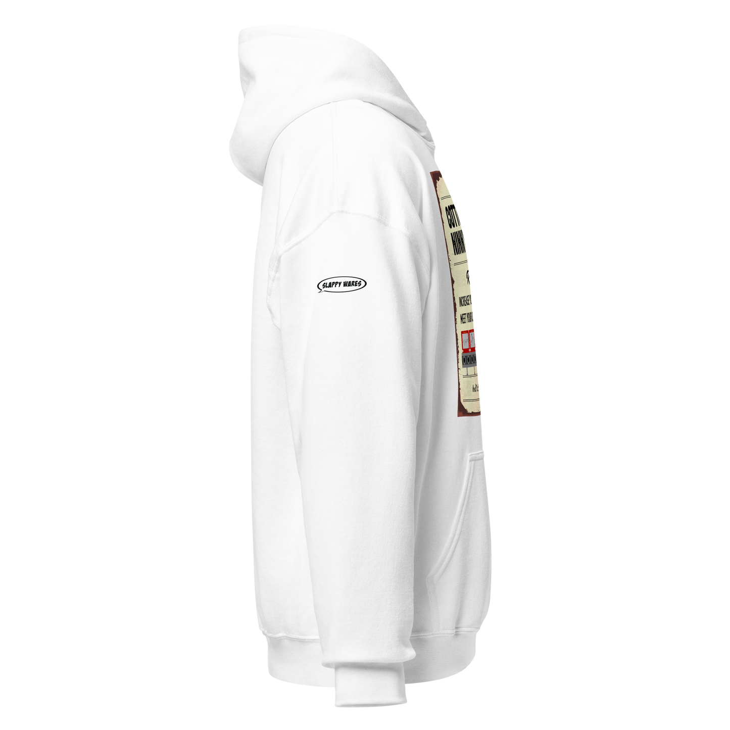 CHRISTMAS - Cotton Headed Ninny Muggins Rehab Center - Funny Hoodie