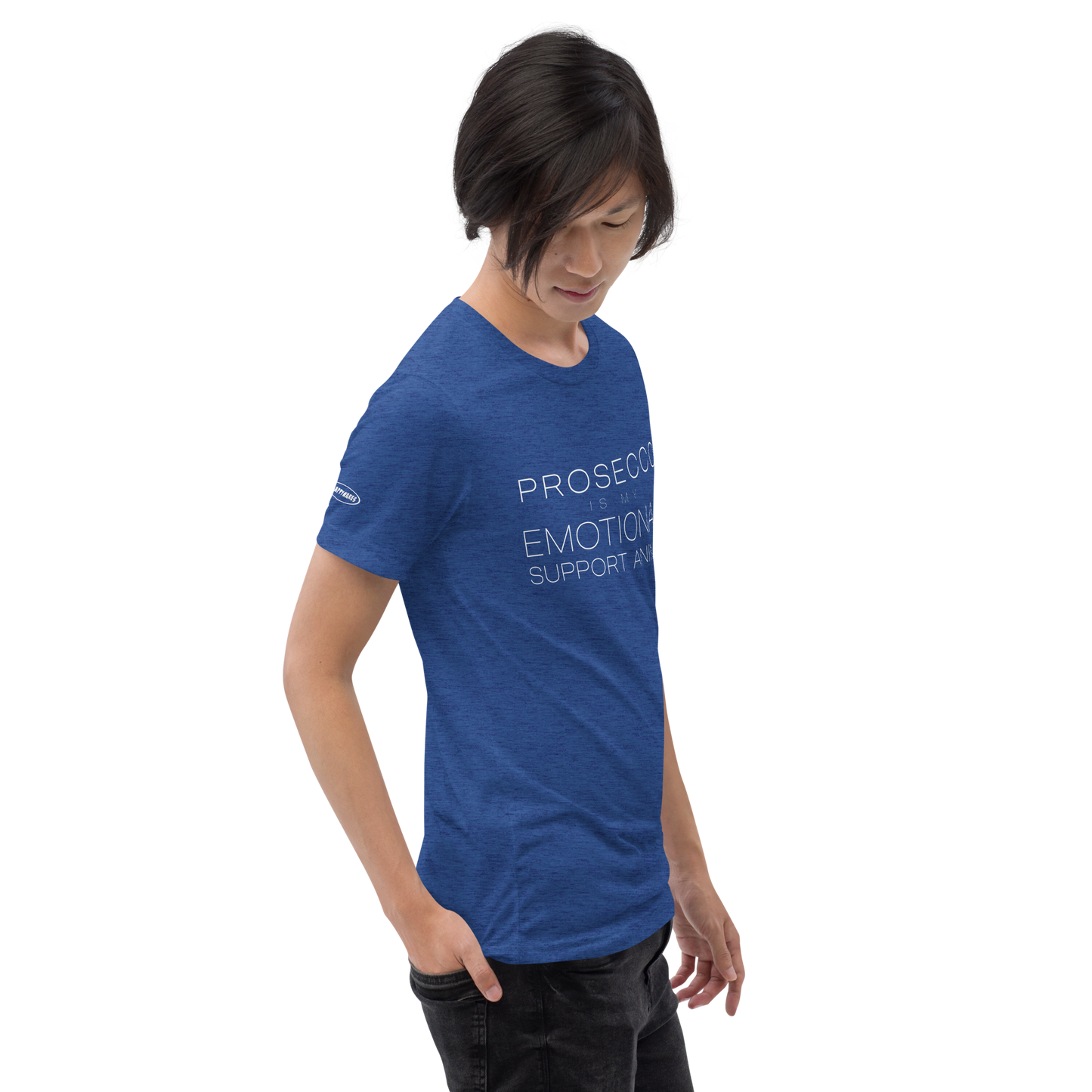 ALCOHOL - Prosecco is my Emotional Support Animal - Funny T-Shirt