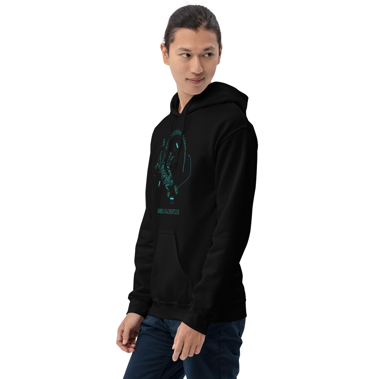 GAMER - Gamerus Ancientus - Funny Hoodie