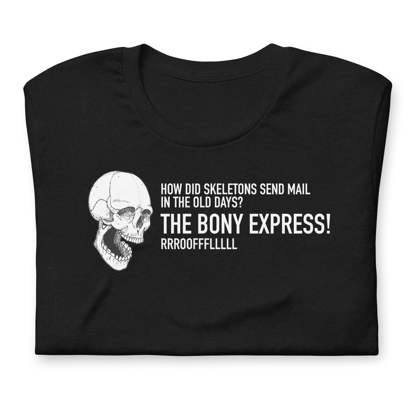 Halloween Skeleton Dad Joke THE BONY EXPRESS! - Funny T-shirt