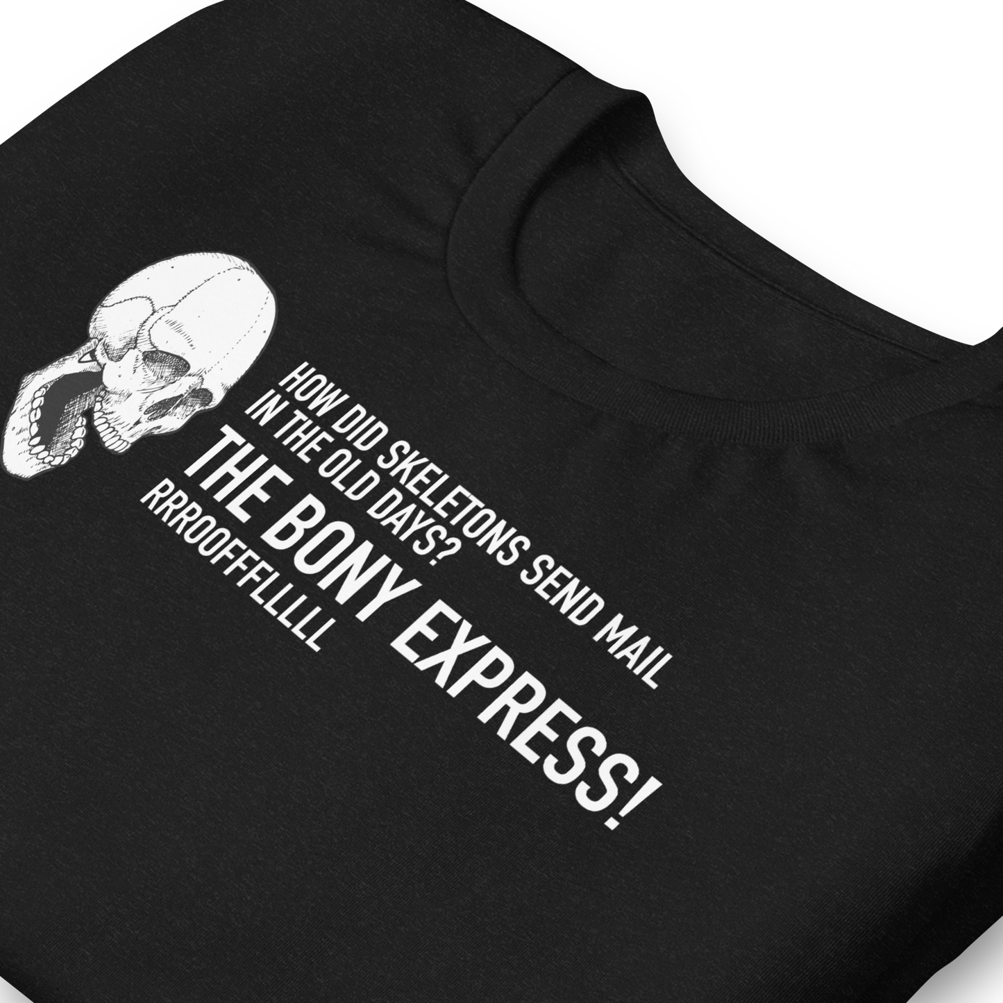 Halloween Skeleton Dad Joke THE BONY EXPRESS! - Funny T-shirt