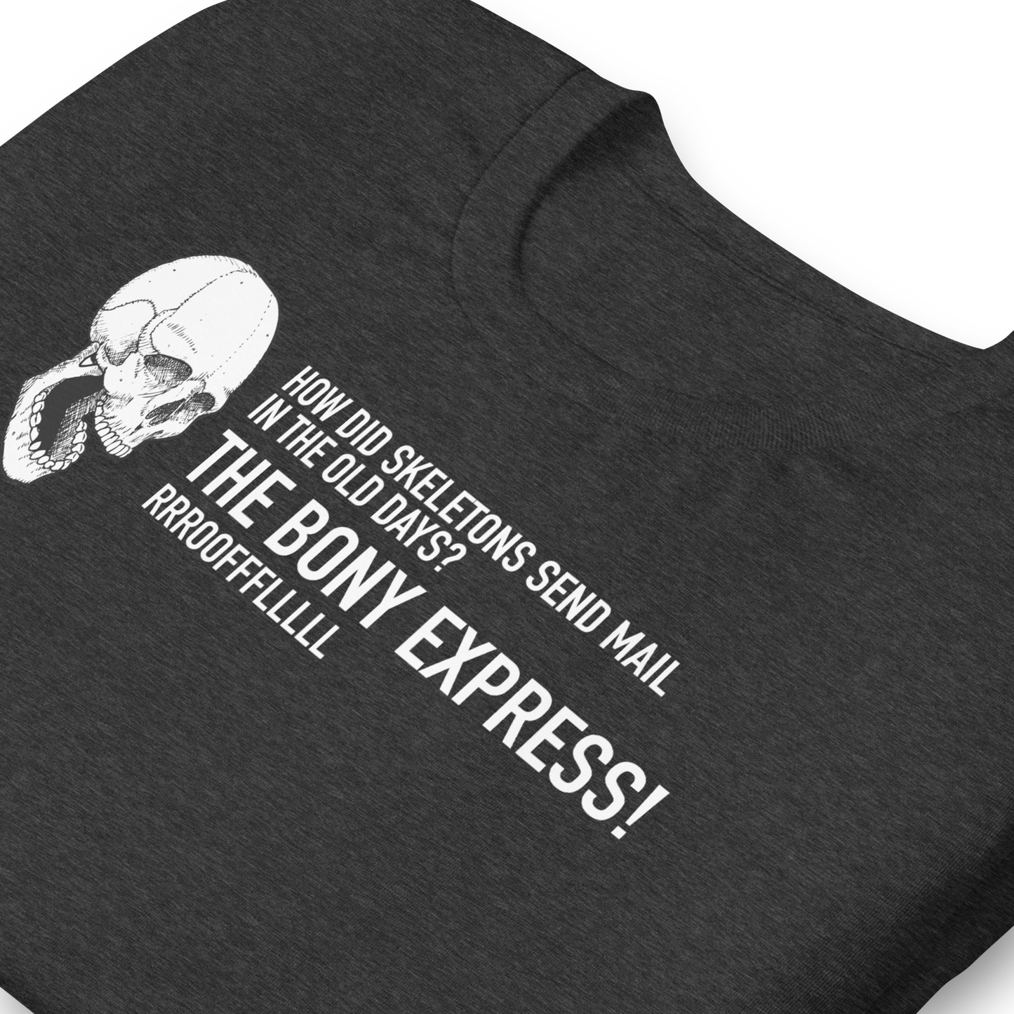 Halloween Skeleton Dad Joke THE BONY EXPRESS! - Funny T-shirt